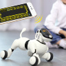 Интеллектуальный щенок-робот собака PuppyGo APP - HM1803