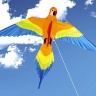 Воздушный змей «Попугай Клара 154х122»